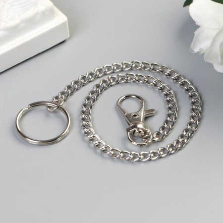 Chain d/keys with a carbine 3.5x1.3 cm on a ring d = 3 cm twisted silver 30 cm-1