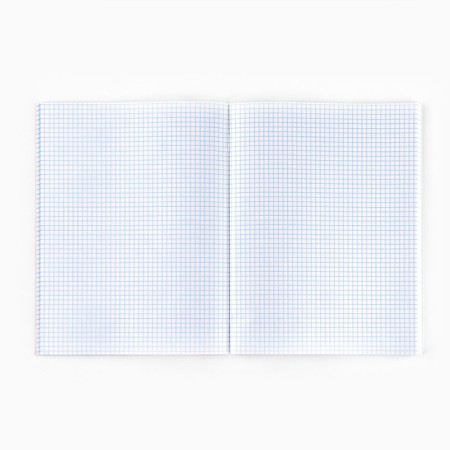 A4 notebook A4, 80 sheets on the paper clip “September 1: Citruses”-2