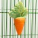 Mineral stone for rodents, carrots, 50 g