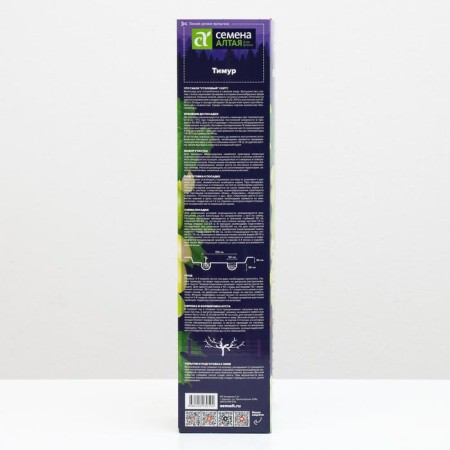 Grape seedling Timur, spring 2024, 1 pc.-1