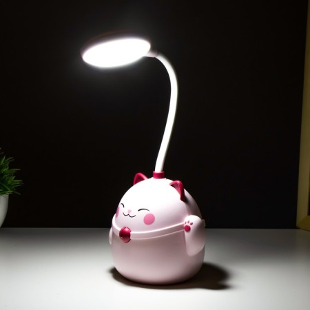 Maneck table lamp LED 3W AKB USB Pink 11.5x10x30 cm Risalux-3