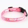 Collar “I am happy”, fastener - fastx, 2 cm 25-40 cm