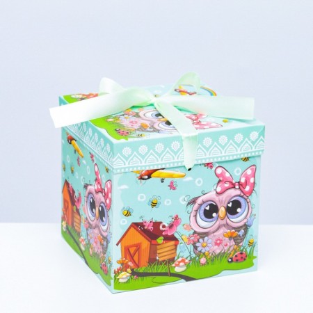 Self -assembly box "Children's" owl 15x15x15 cm