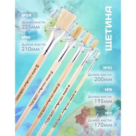 Set of brushes bristles 5 pieces, calligrata (flat No.: 2, 6, 10, 16, 24), wooden handle-3