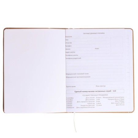 Universal diary for grades 1-11, hard cover, artificial leather, foam rubber, silkography, liesse, 80 g/m2-3