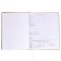 Universal diary for grades 1-11, hard cover, artificial leather, foam rubber, silkography, liesse, 80 g/m2