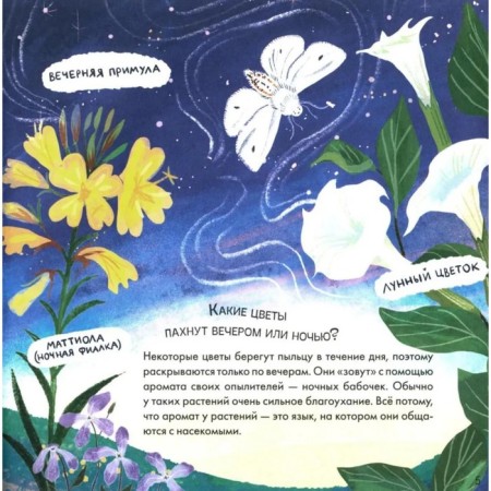 Where is my star? Mironenko A.-3