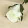 Artificial "rose" 63 cm d-5 cm, white