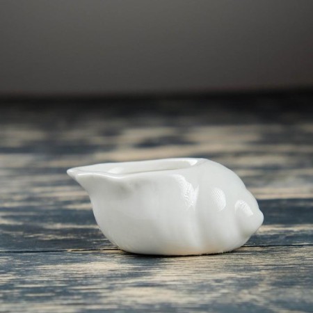 Set of Kashpo "Shell" 6pcs, 8x6x8cm, White-6