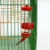 Drill for rodents 125 ml, 12.5 x 4.5 cm, red
