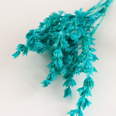 Set of dried flowers "chandra", banch length 40 (+/- 6 cm), turquoise-2