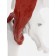 Pill Bone layout with muscle tissue 23*13cm