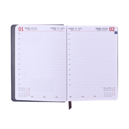 Dated diary of 2025, A6+, 176 sheets "Lyon", solid cover, pancake embossing, with liesa, block 80 g/m2, gray-10