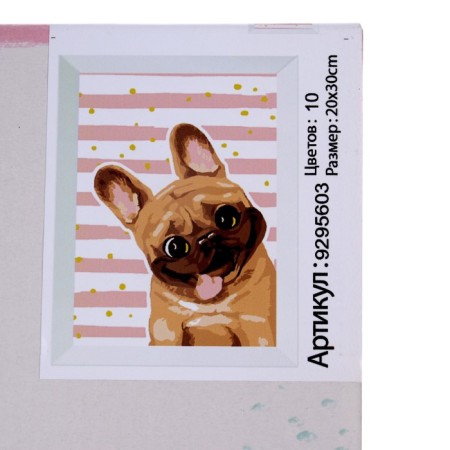 Picture on numbers on a canvas with a subframe of "MOPS", 20x30 cm-4