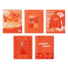 Notebook of 48 sheets in a cage on an apricot paper clip, covered cardboard, matte lames, mix