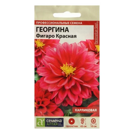 Georgin flower seeds "Figaro", red, terry, seed. Alt, c/n, 5 pcs