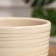 Flower "Tenderness" Pot Beige 2.4 liters
