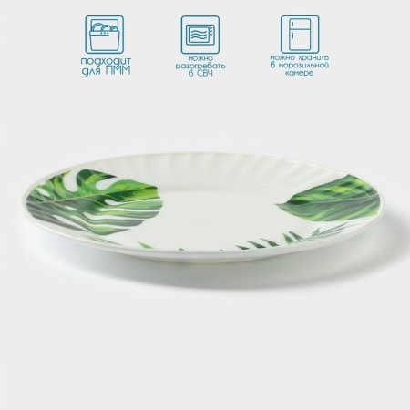 Plate dessert shade "Fern sheet", d = 21.5 cm, glass ceramic, white color-1