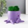 Concrete Kashpo "Osminog" height 7 cm, d- 6.5 cm. Violet with moss (moss green. Stabilizir)
