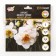 Narcissus Flauer Drift, river 12/14, 4 pcs, autumn 2024