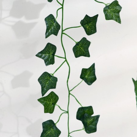Liana "Painting Leaves" 80 cm-1