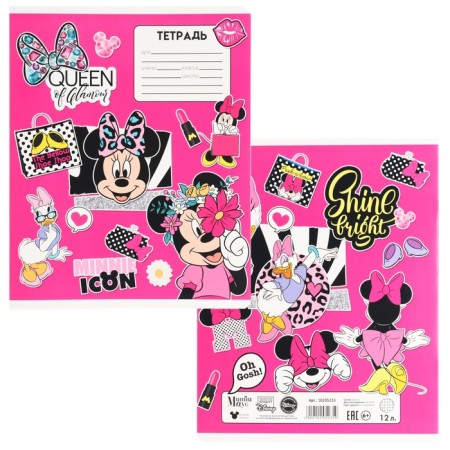 Notebook in a cage 12 sheets, 5 types of mix, cover coated cardboard, Minnie Mouse-7