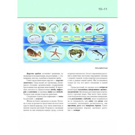 Undersea world. Complete encyclopedia. Schoolboy Yu.K.-11