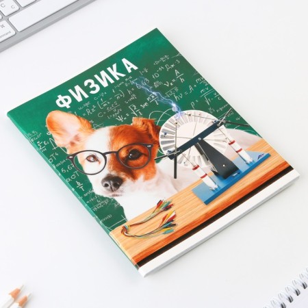 An objective notebook 48 sheets, A5, cute pets, with reference materials “September 1: Physics”, cover coated cardboard 230 gr., Inner block in a cage 80 gr., Sweet of 96%, block No. 1.-1