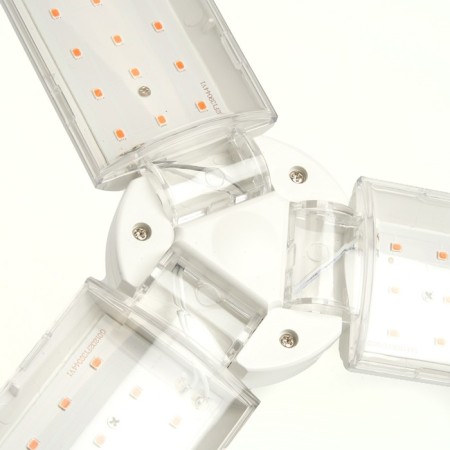 Feron, E27, 30 W, 175-265 V plants, pink light-8