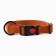 Dogs for dogs biotan oscia 40-60 cm, brown