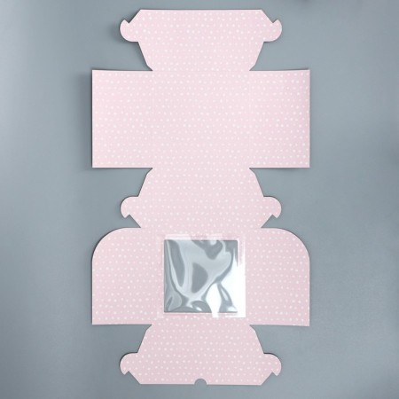 Capcake box, confectionery packaging double -sided, 4 cells “The most tender”, 16 x 16 x 10 cm-6