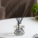 Diffusor Aromatic Reni Home, 100 ml, cinnamon, orange. Gingerbread. lemon