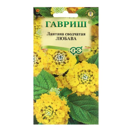 Lantana seeds vaulted Lyubava* 0.1 g