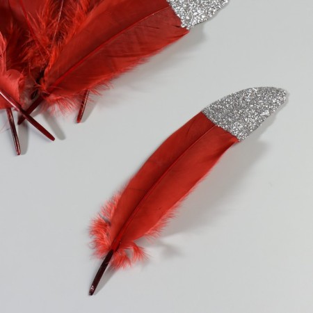 A set of goose feathers 15-20 cm, 10 pcs, red wine with silver crumb-2