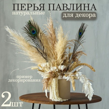 Feather of peacock for decor, set 2 pcs., Size 1 pc. - from 40 to 50 cm