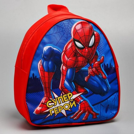 Baby backpack, 23x21x10 cm, Spider-Man-2