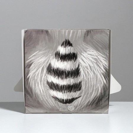 Gift folding box, packaging, “raccoon”, 25 x 25 x 10 cm-3