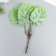 Decor for creativity "Monster" 1 bouquet = 6 colors green 25 cm