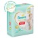 Pampers Premium Care panties, size 4, 22 pcs