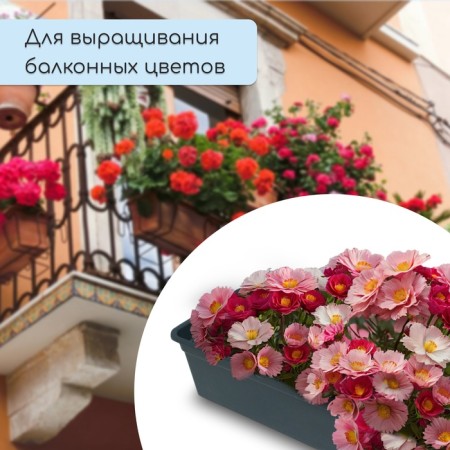 Box for seedlings, 50 × 15 × 10 cm, 5 l, black, "crop-5"-4