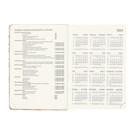Dated 2025 DATA A5 168 sheets, DEVENTE. Expert, integral cover to leatherette, pocket, perforation, liesse, cream block 70 g/m2, gray-6