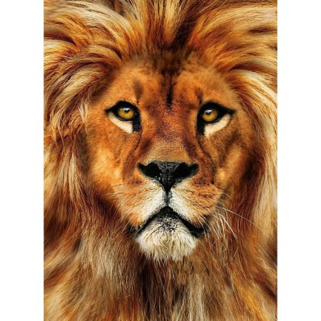 Diamond mosaic with full filling on the canvas "Leo", 15 x 21 cm-1