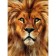 Diamond mosaic with full filling on the canvas "Leo", 15 x 21 cm