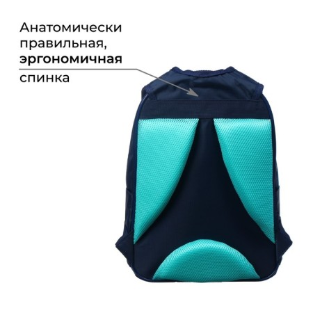 School backpack, 37 x 26 x 13 cm, ergonomic back, calligrata AN "bulldog"-2