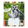 Notebook of 18 sheets in the Erichkrause Lemur Style line, cover coated cardboard, offset block, mix