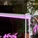 ULT-P56-10W/SPSB IP20 Marble Econom Set "Minisad", LED lamp lamp