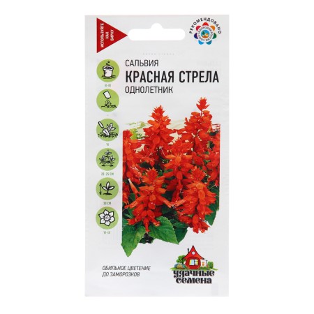 Salvia seeds "Red Arrow", 0.05 g