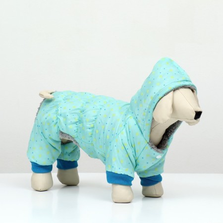 Kombinson "Tender Way" on the fur lining, size S (DS 25, Osh 25, OG 35 cm), Blue-2