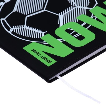 Universal diary for grade 1-11 Play on now, integral cover, artificial leather, silk-screen printing, lies, 80 g/m2-2