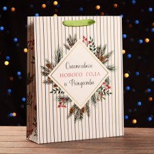 Laminated New Year and Christmas Package, 33 x 42 x 10 cm